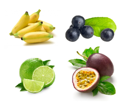 Obrázek MEC SORBET SMOOTHIE RIO PRO 6 x 2 kg